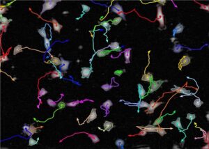 1-3-2-Single-Cell-Functional-Analysis-2