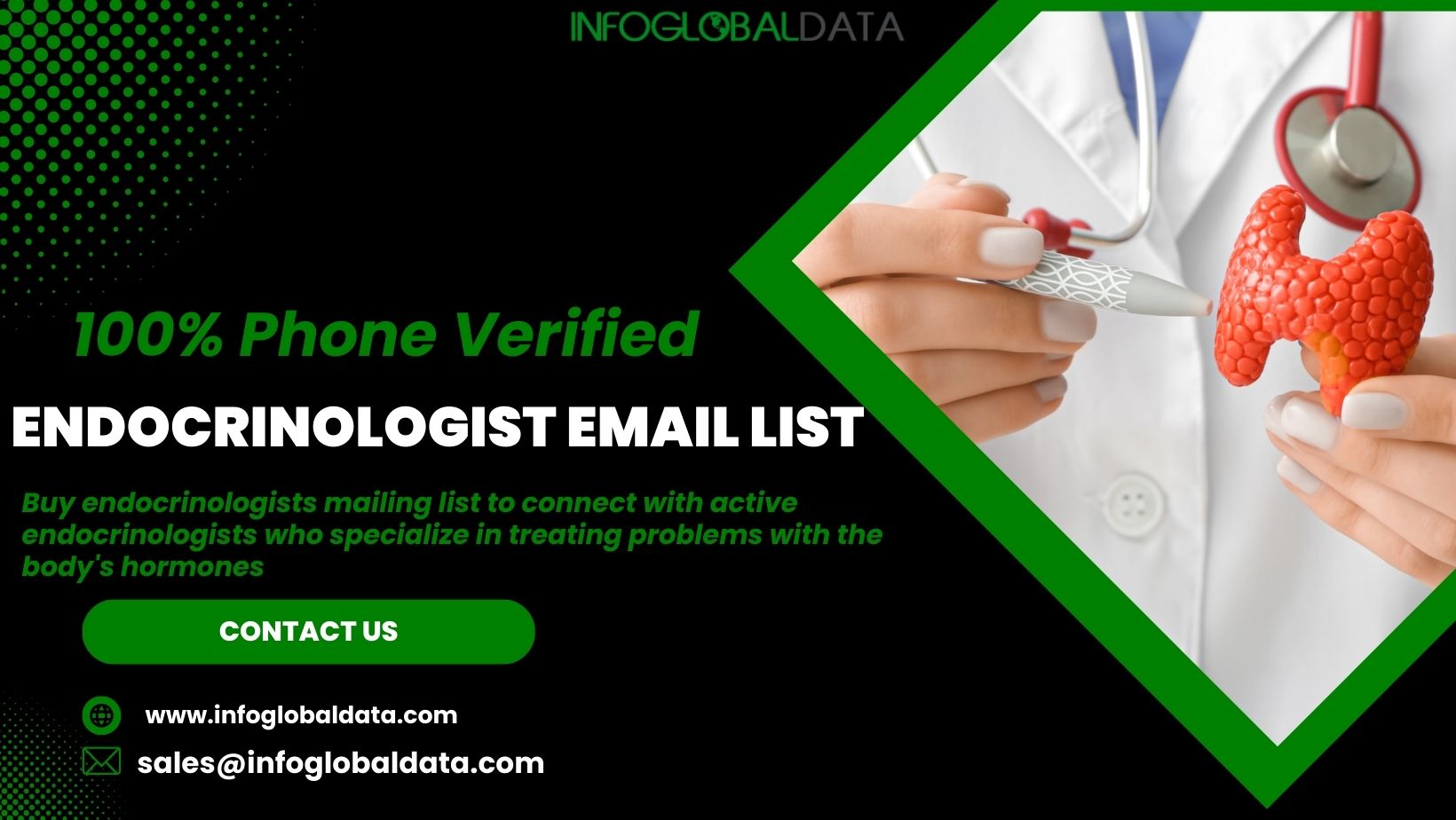 Endocrinologist Email List