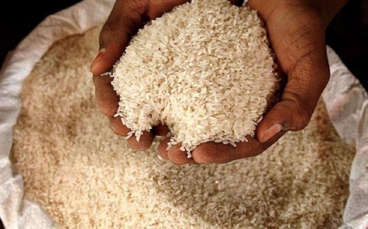 GCC Rice Market