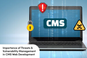 Importance of Threats & Vulnerability Management in CMS Web Development