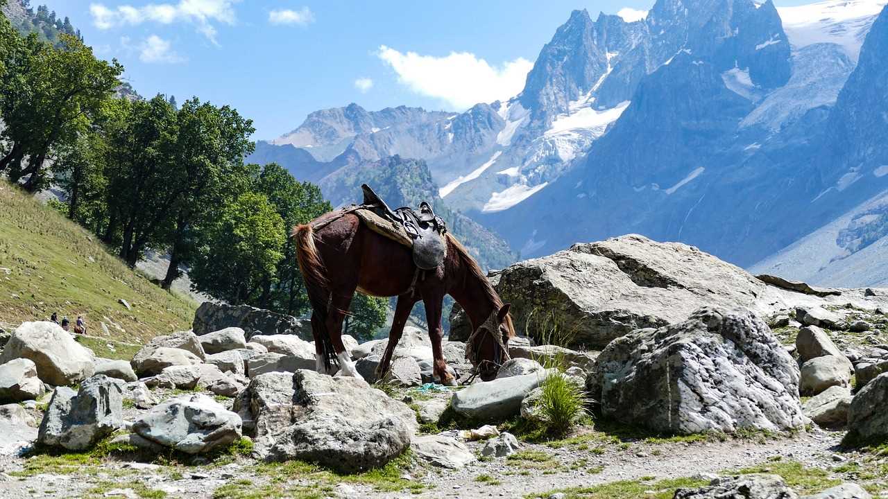 Top Must Visit Cool Getaways In North India