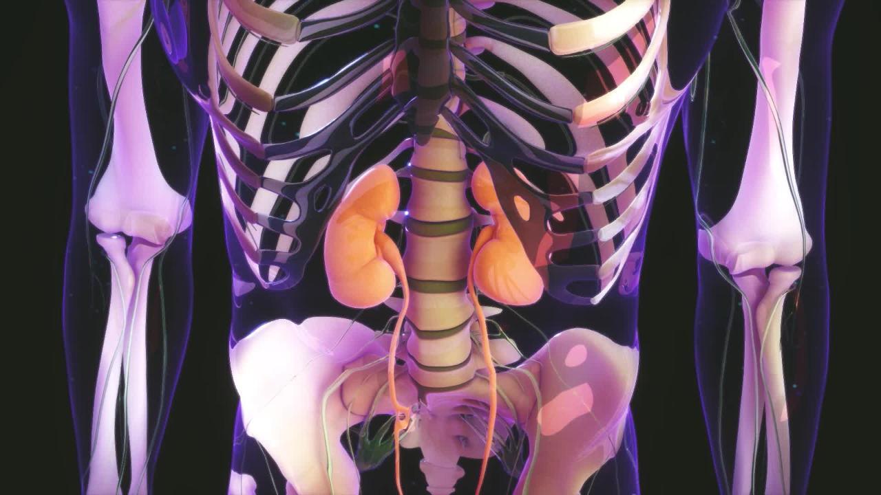 kidney disorder symptoms