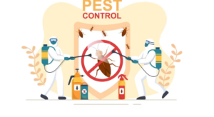 Top rated pest control services