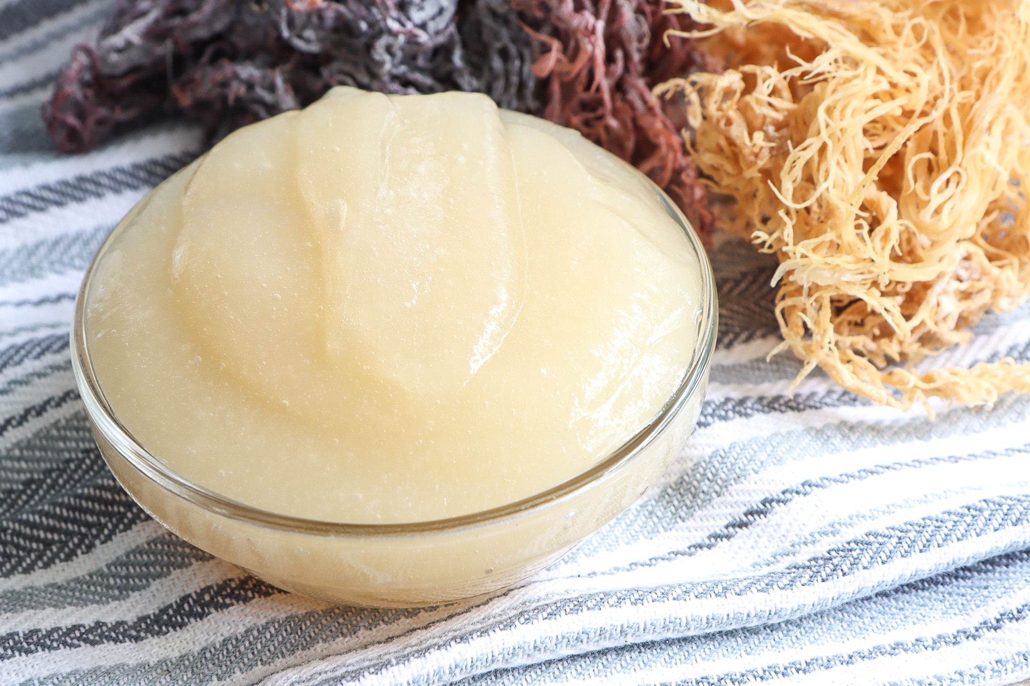 sea-moss-gel-recipe