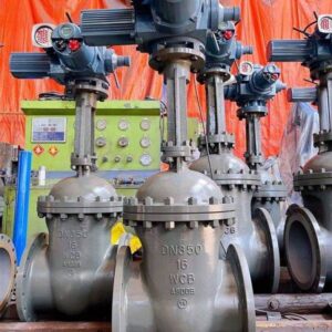 Electric Actuated Gate valv