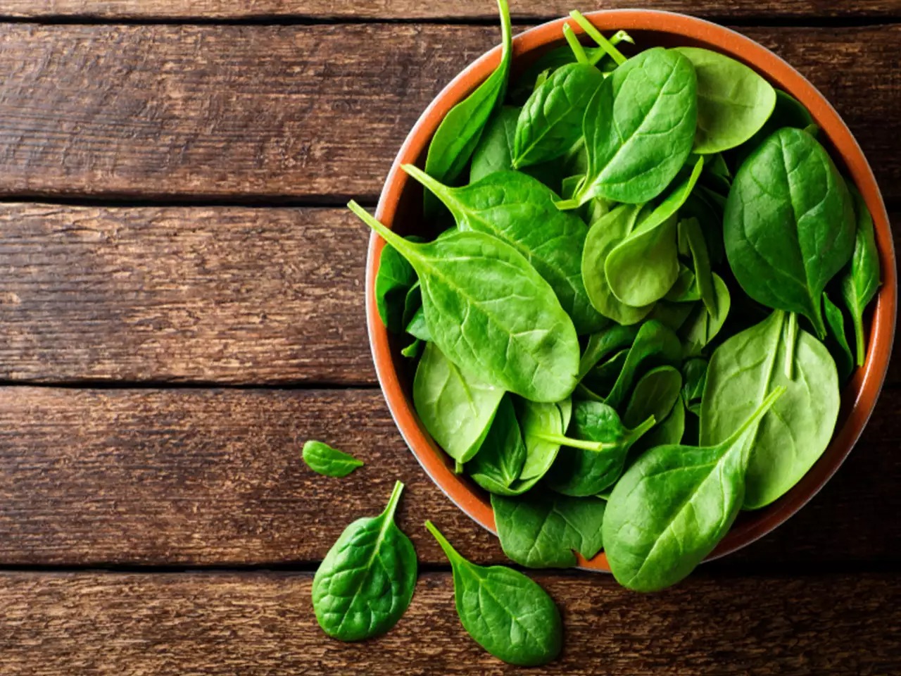 Spinach Processing Plant