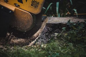 Stump Grinding and Removal