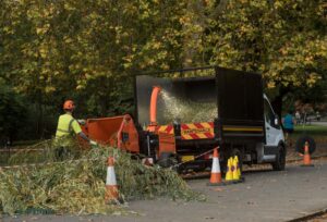 Tree Surgeons in Hertfordshire
