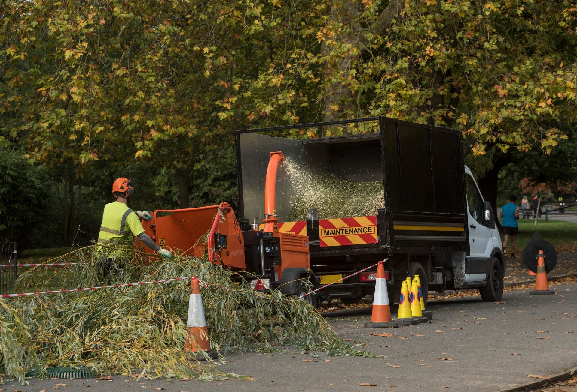 Tree Surgeons in Hertfordshire