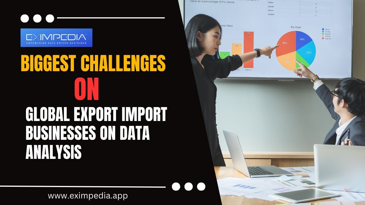 What Are the Biggest Challenges on Global Export Import Businesses on Data Analysis