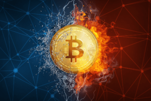 What-is-the-Difference-Between-Blockchain-And-Bitcoin-4