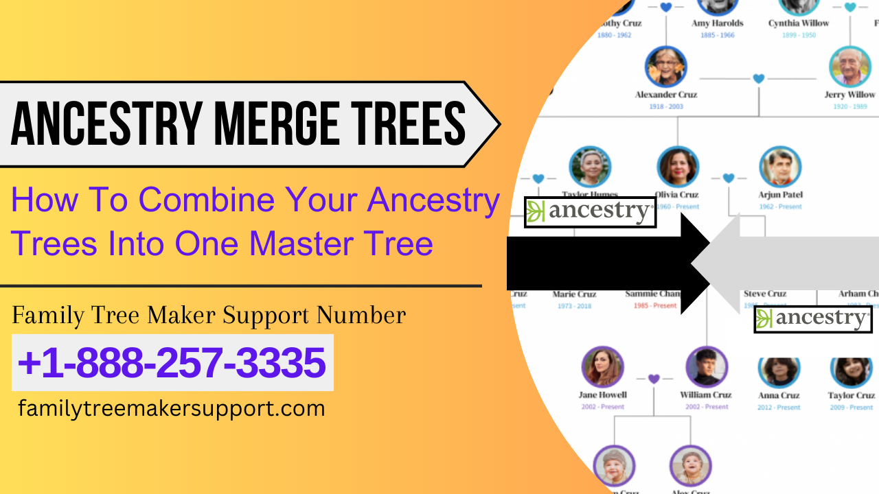 ancestry merge trees