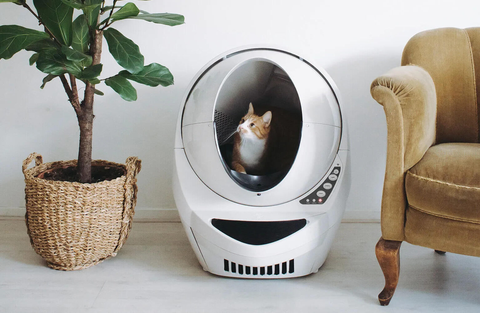 whisker-litter-robot-1536x1004